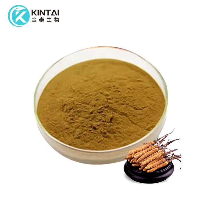 Cordyceps Extract, Cordyceps Sinensis Mycelia Extract