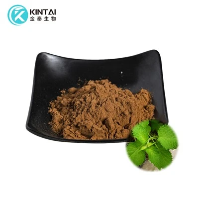 Agastache Rugosa Extract Powder Agastache Rugosa Extract Powder