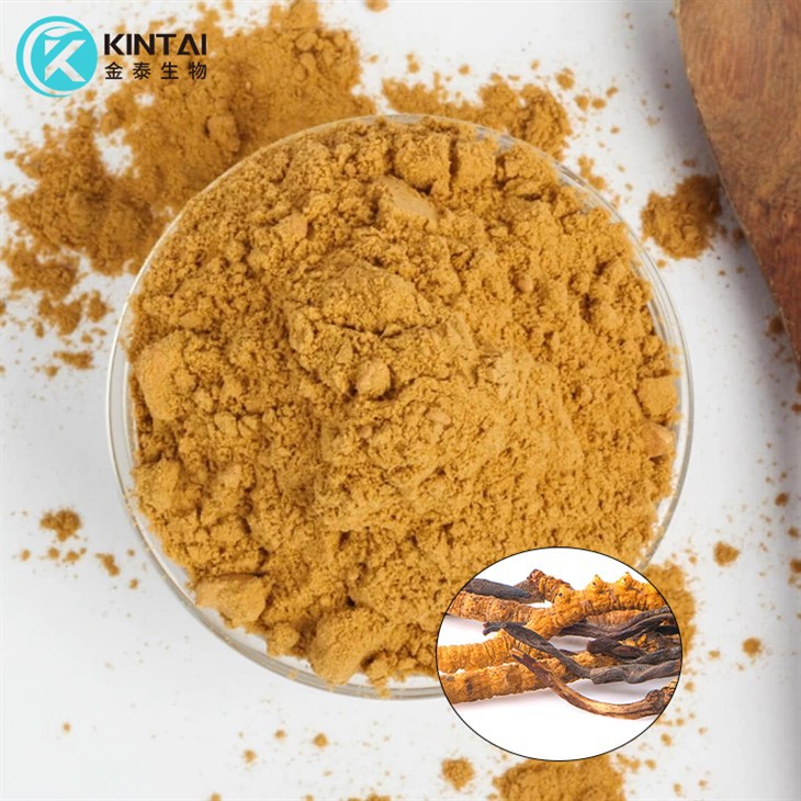 Top-Quality-Polysaccharide-30%-Cordycepin-0.1%-Cordyceps-Militaris-Extract-Powder